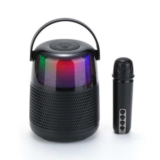 Bluetooth microphone speaker 173